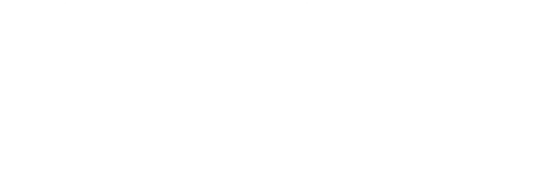 小雨润物世界模型